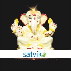 Satvik Eco Painted White...