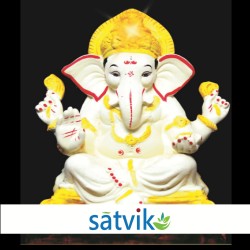 Satvik Eco Painted White...