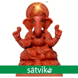 Satvik Natural Red Soil Eco...